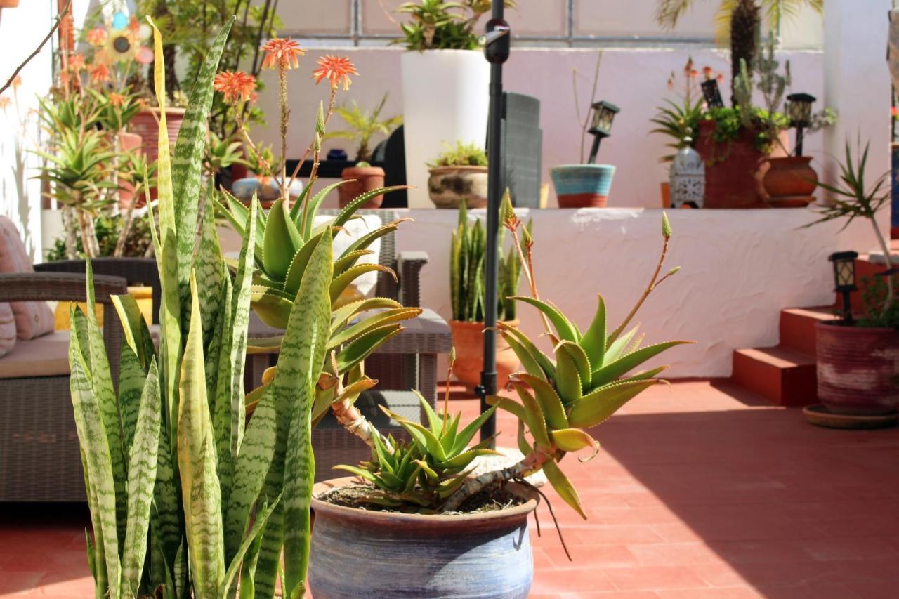 Riad Meftaha Rabat Exterior photo